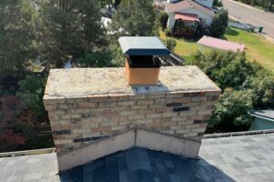 AnimalRemoval-Install a Chimney Cap