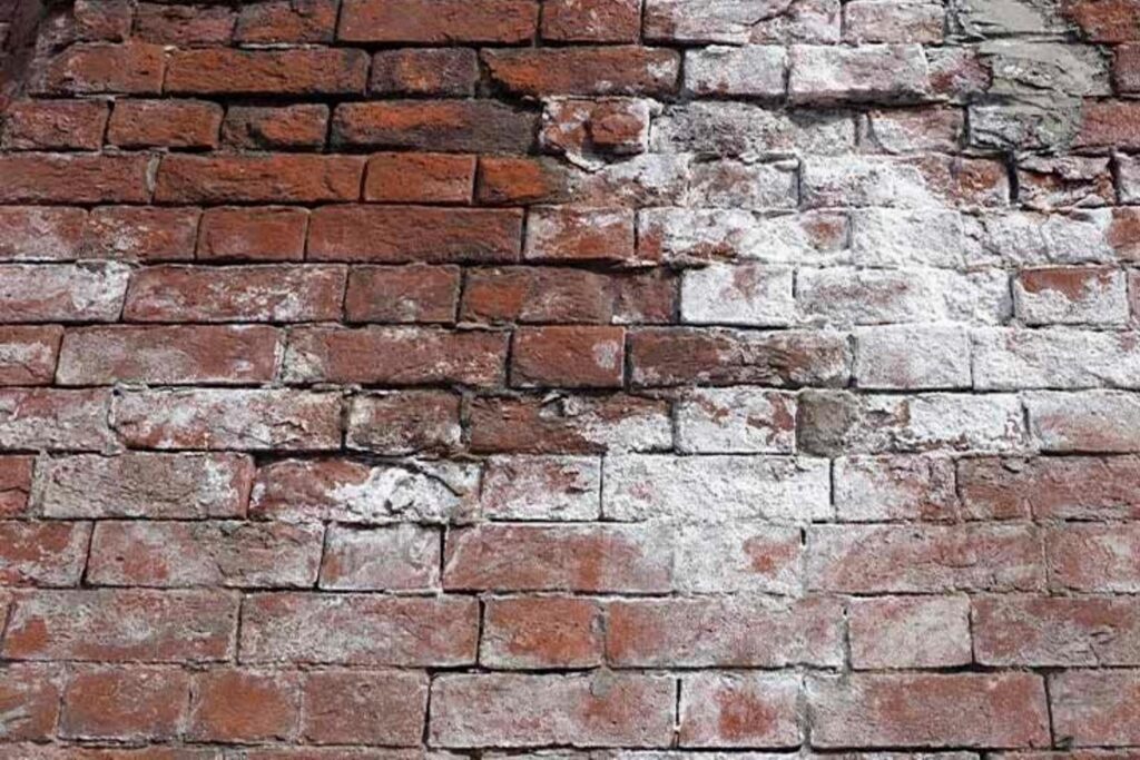 ChimneyRepair-Efflorescence