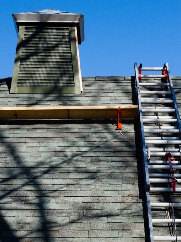 Inspecting Chimney Inspecting Chimney