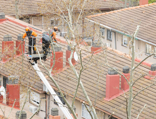 Why Annual Chimney Inspections Are Vital for Home Safety
